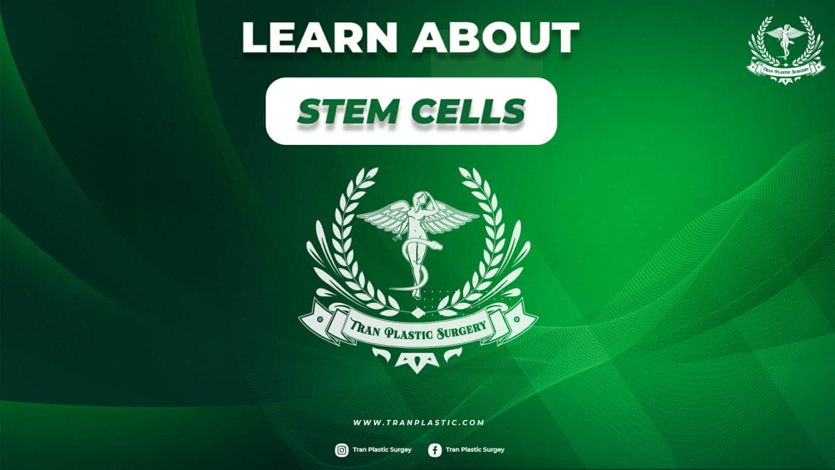 LEARN ABOUT STEM CELLS